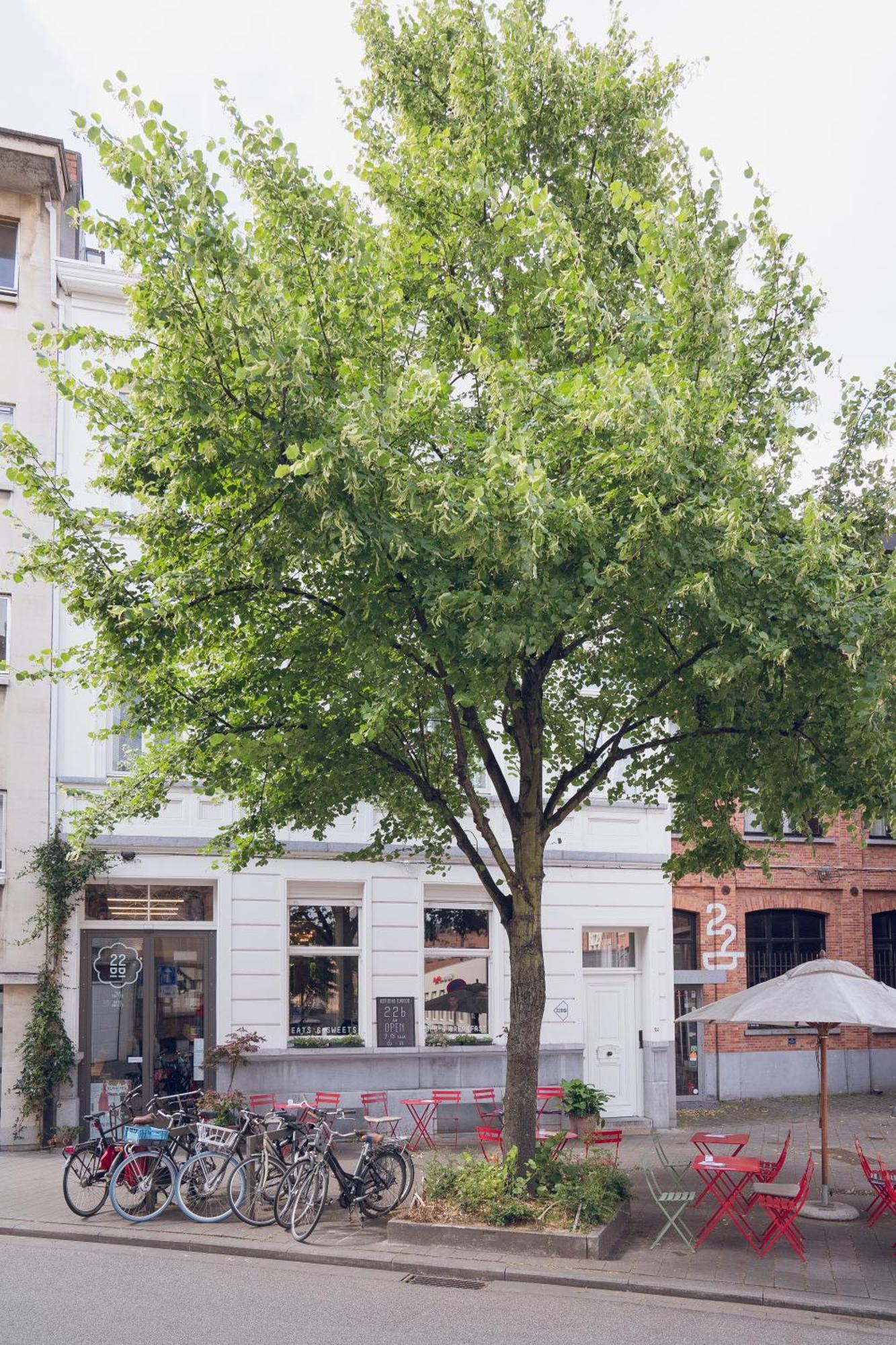 22B&B Antwerpen Exteriör bild