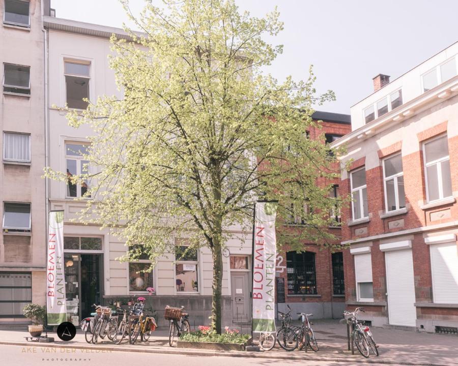 22B&B Antwerpen Exteriör bild